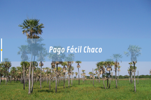 Sucursales Pago F cil en Chaco